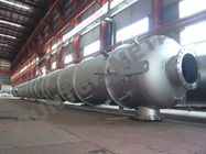 Колонка башни обрабатывающего оборудования сплава C-22 химическая для завода укусной кислоты
